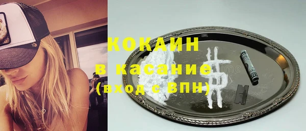 шишки Аркадак