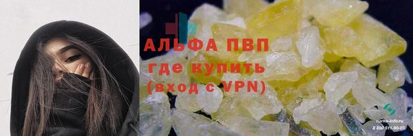 шишки Аркадак