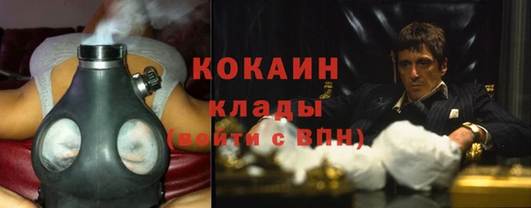 шишки Аркадак