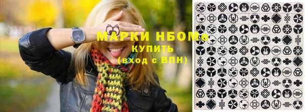 шишки Аркадак