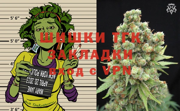 шишки Аркадак