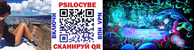 кракен вход  закладка  Учалы  Галлюциногенные грибы Magic Shrooms 